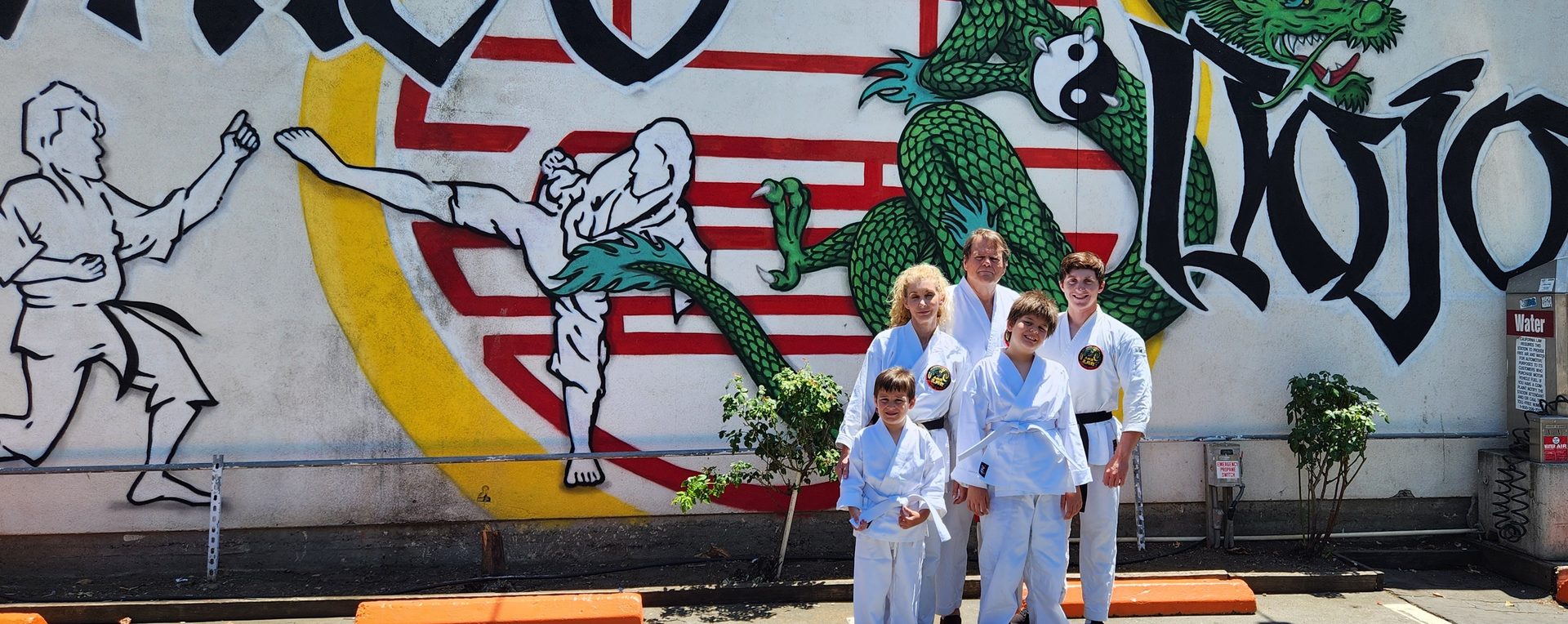 Come to Chico Dojo!